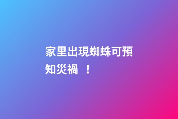 家里出現蜘蛛可預知災禍！